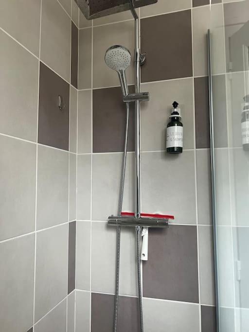 קלרמונט-פרנד Appartement Proche Des Facs Lebon מראה חיצוני תמונה